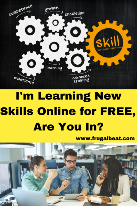 How To Learn New Skills Online